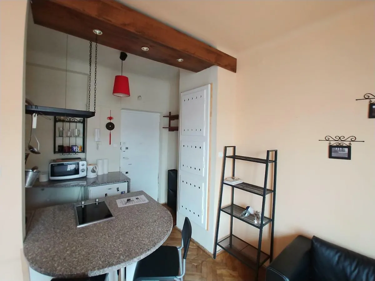 Studio Narutowicza Warsaw Apartment