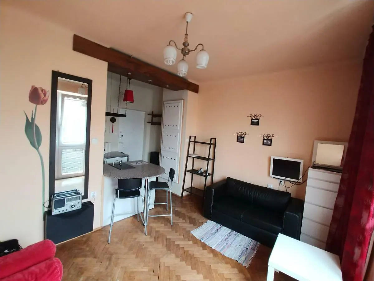 Studio Narutowicza Warsaw Apartment